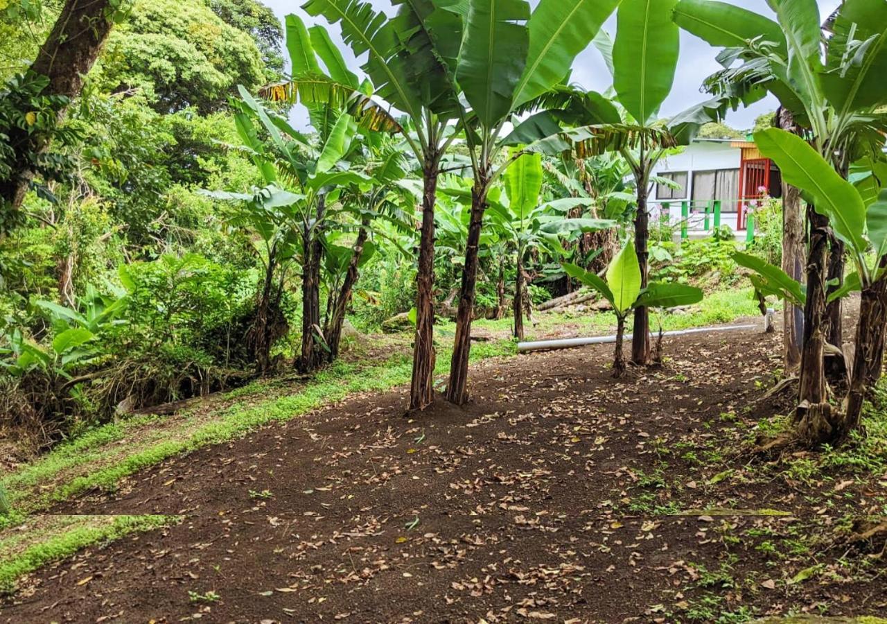 Grand Luna - Monteverde Accommodatie bij particulieren Tilarán