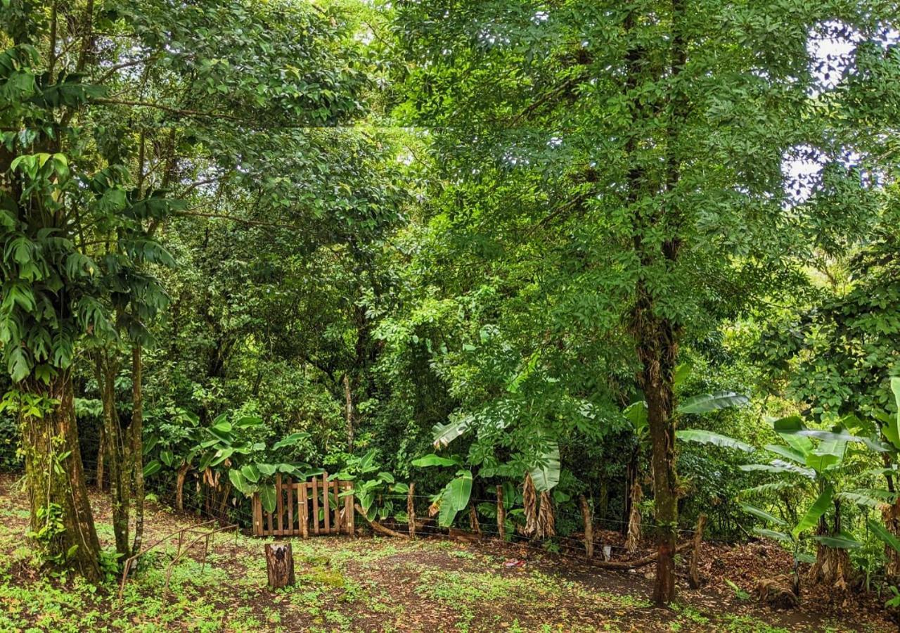Accommodatie bij particulieren Grand Luna - Monteverde *