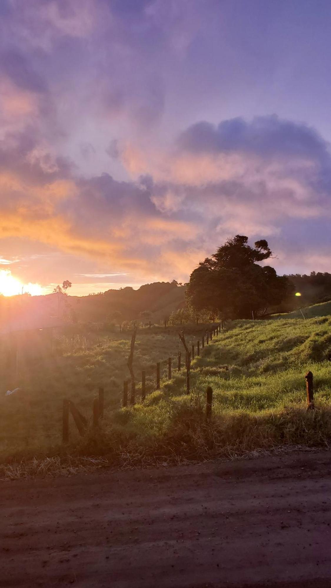 Grand Luna - Monteverde Accommodatie bij particulieren Tilarán